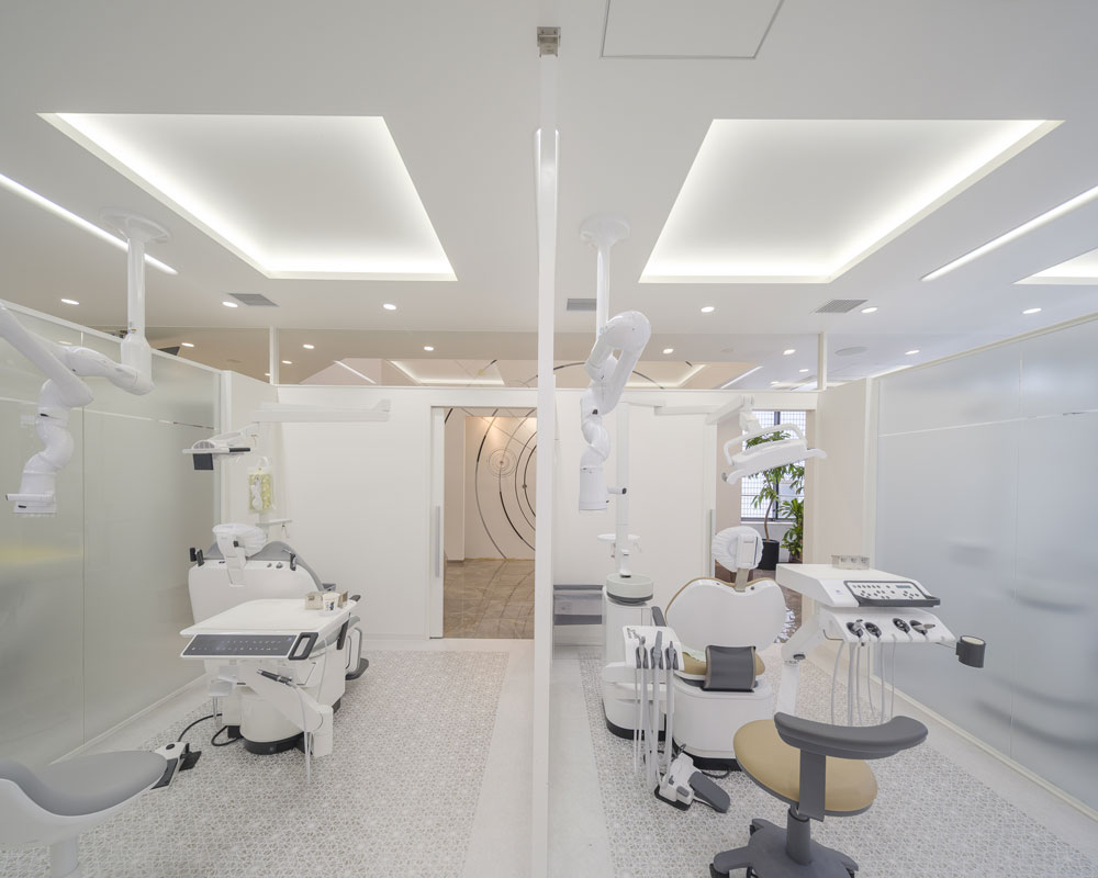 ステラアンジュ